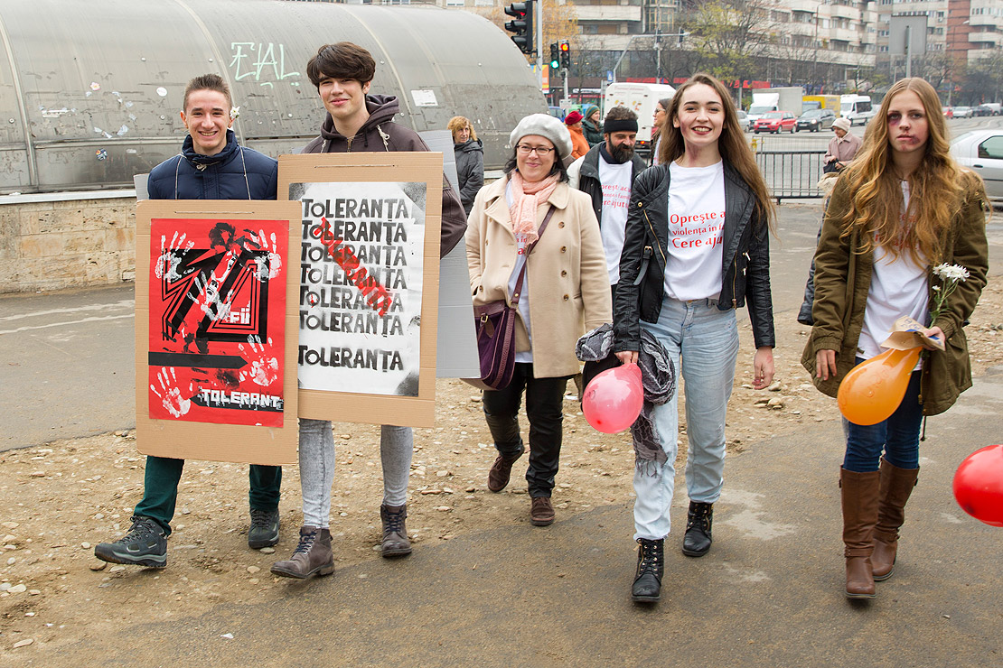 Prevenirea și combaterea violenței domestice